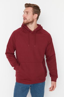 TRENDYOL MAN Gri Regular/Normal Kesim Kapusonlu Ici Polar/S?cak Tutan Sweatshirt TMNAW23SW00194 - Trendyolmilla фото 21