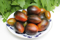 Томат АТОМНЫЙ ВИНОГРАД БРЕДА - Уральский дачник фото 2