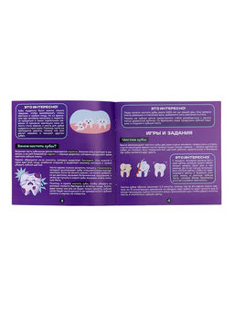 Набор для опытов Анатомия, челюсть человека - Эврики фото 12