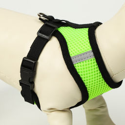 Комплект амуниции с мягкой шлейкой и светоотражающей нашивкой, M, ОШ 26 см, ОГ 36-44 см, зелёный 761 - Пижон фото 5