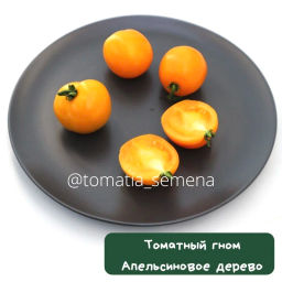 Гном Апельсиновое дерево