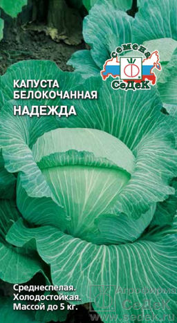 Капуста б/к Надежда 0,5г (СеДеК)