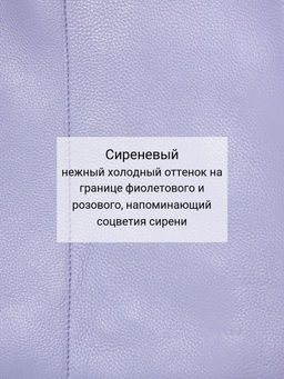 Сумка Palio 18766A-W1 913 CFFGA