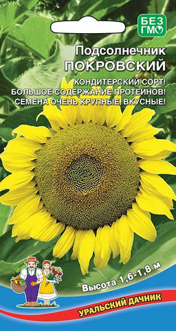 Подсолнечник ПОКРОВСКИЙ Кондитерский сорт! Большое содержание протеинов! Семена очень крупные, вкусные!