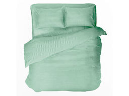 4252-БЧ КПБ Евро сатин рис."13-6110" цв фисташка