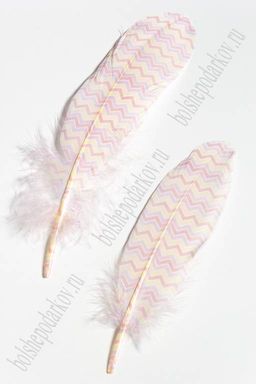 Перья декоративные 16*4,5 см (6 шт) Зигзаг
