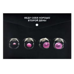 Папка для школьных тетрадей пластиковая Феникс+, арт. 72363/ 12 МОПС И ЖВАЧКА (полипропилен, формат