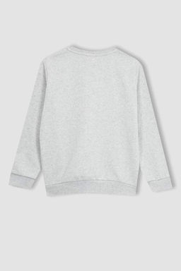 Толстый базовый свитшот для мальчиков с круглым вырезом - Defacto фото 8