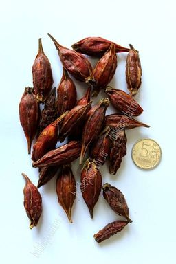 Сухоцветы 100 гр (ВР-432) - No name фото 2