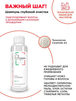 Шампунь PICASSO COLOUR RANGE HI-Tech Deep Cleaning