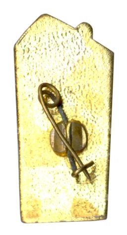 Значок Сочи