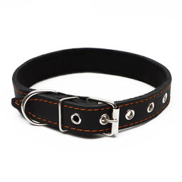 Ошейник кожаный на синтепоне, украшенный, 55 х 2.5 см, ОШ 35-45 см, черный - Пижон фото 2