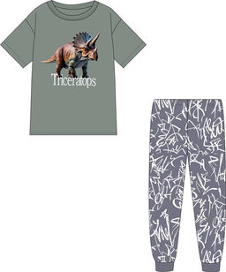 Футболка+брюки 2ПФБ5759001н