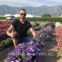 Петуния Итальянка Коломбина каскадная голубая - Партнер фото 4