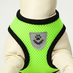 Комплект амуниции с мягкой шлейкой и светоотражающей нашивкой, M, ОШ 26 см, ОГ 36-44 см, зелёный 761 - Пижон фото 6