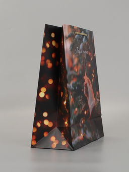 Цена за 2 шт. Пакет подарочный «Пора чудес», 26×12×32 см