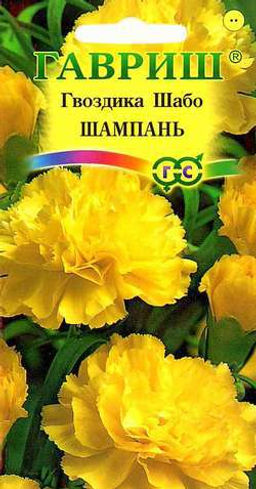 Шабо Шампань гвоздика 0,05 гр (г)