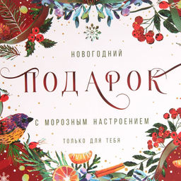 Пакет подарочный новогодний ламинированный «С морозным настроением», MS 18 х 23 х 10 см
