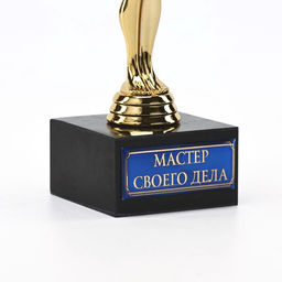 Кубок наградная фигура Мастер своего дела, оскар, пластик, подставка камень, 18 см