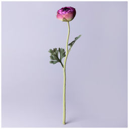 ЦВЕТОК ИСКУССТВЕННЫЙ РАНУНКУЛЮС ВЫСОТА=50СМ. - Lefard фото 2