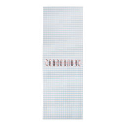 Цена за 2 шт. Блокнот А6, 80 листов в клетку на гребне «Красный. Неон», пластиковая обложка, блок офсет