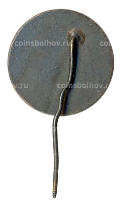 Значок Рига