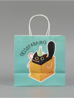 Цена за 2 шт. Пакет подарочный «Поздравляю», 22 × 22 × 11 см