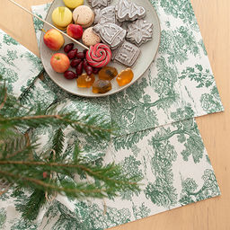 Набор салфеток декоративных 35х35 - 6 шт, саржа Гербариум ВБ 35х35 - Традиция фото 11