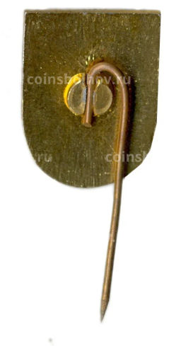 Значок Каунас