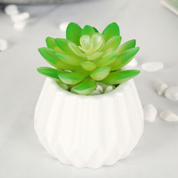 Суккулент искусственный 7х6 см / GN108 /уп 200/ - Галеонтрейд фото 3