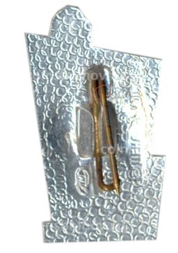 Значок Петродворец