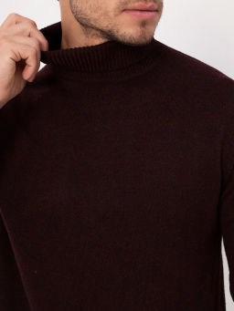 Джемпер мужской GREG G123-DA491 бордо/черный  фото 3