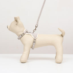 Комплект амуниции Мышка с мягкой шлейкой, поводок 120 х 1 см, ОШ 18-22 см, ОГ 24-30 см, серый - Пижон фото 7