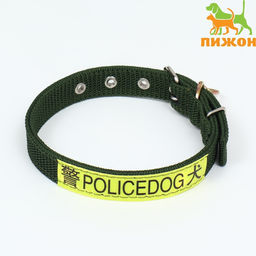 Ошейник двухслойный с вертлюгом, 2,5 см, зелёный, длина 58 см