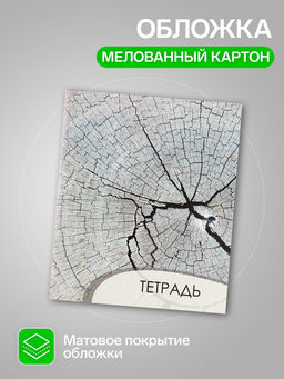 Комплект тетрадей из 4 штук, 96 листов в клетку Calligrata "Текстура 2", обложка мелованный картон, блок офсет