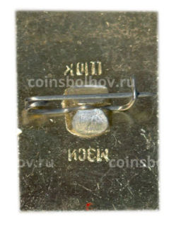 Значок Владимир