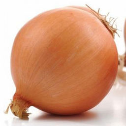 5037D Лук репчатый Мастер 1гр