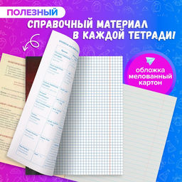 Набор предметных тетрадей 48 листов Calligrata Футбол, 10 предметов  фото 2