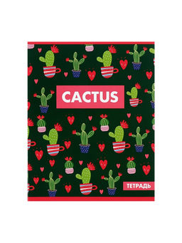 Комплект тетрадей из 5 шт Кактус, 48 листов, в клетку, обложка мелованный картон, блок офсет - Calligrata фото 9