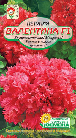 Валентина F1 петуния махровая 7 шт (ссс)