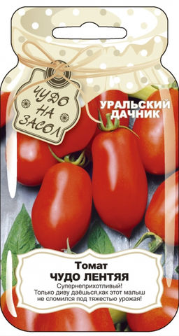 Томат ЧУДО ЛЕНТЯЯ  Супернеприхотливый! Кисти с большим количеством плодов! Как он не сломился под тяжестью плодов! - Уральский дачник фото 3