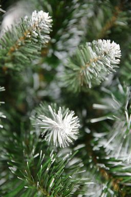 Ель искусственная ANNA WHITE 220 см