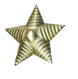 Значок эмблема петличная Звезда