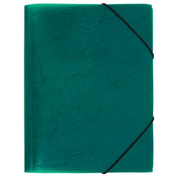 Expert Complete Premier Папка на резинке A4 600 мкм 35 мм волокно 5 шт. зеленый new EC21043003