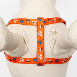 Комплект амуниции Собачки, поводок 120 х 1 см, ОГ 27-42 см, оранжевый - Пижон фото 2