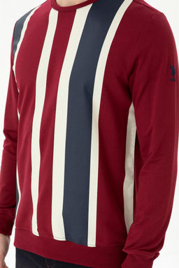 Мужской бордово-красный свитшот - U.s. polo assn фото 13
