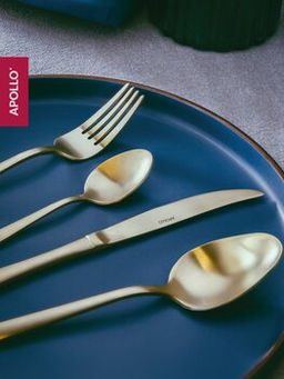 Набор столовых приборов APOLLO "Lungo matt Сhampagne" 16 пр.