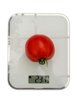 Томат Феодал - Партнер фото 6