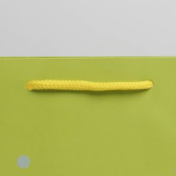 Цена за 5 шт. Пакет подарочный, упаковка, «Три медведя», 20 х 20 х 8 см