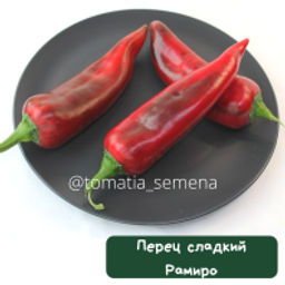 Перец Рамиро красный - Tomatia фото 2